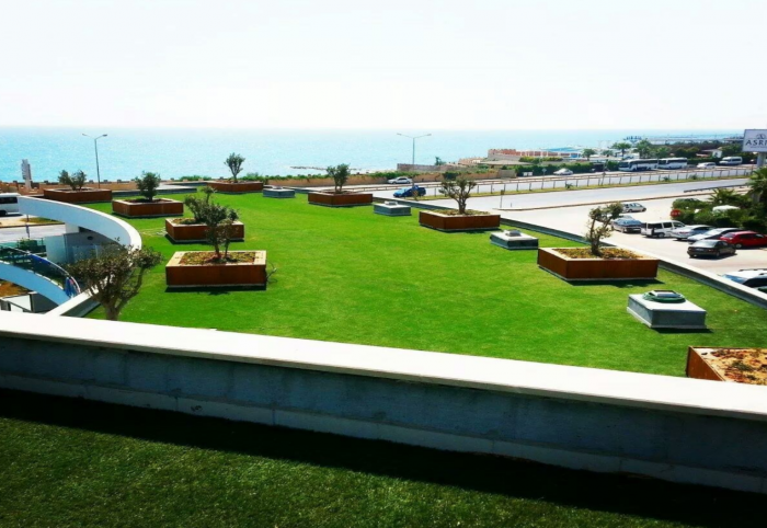 30mm Çağla Çim Halı - Görsel 7